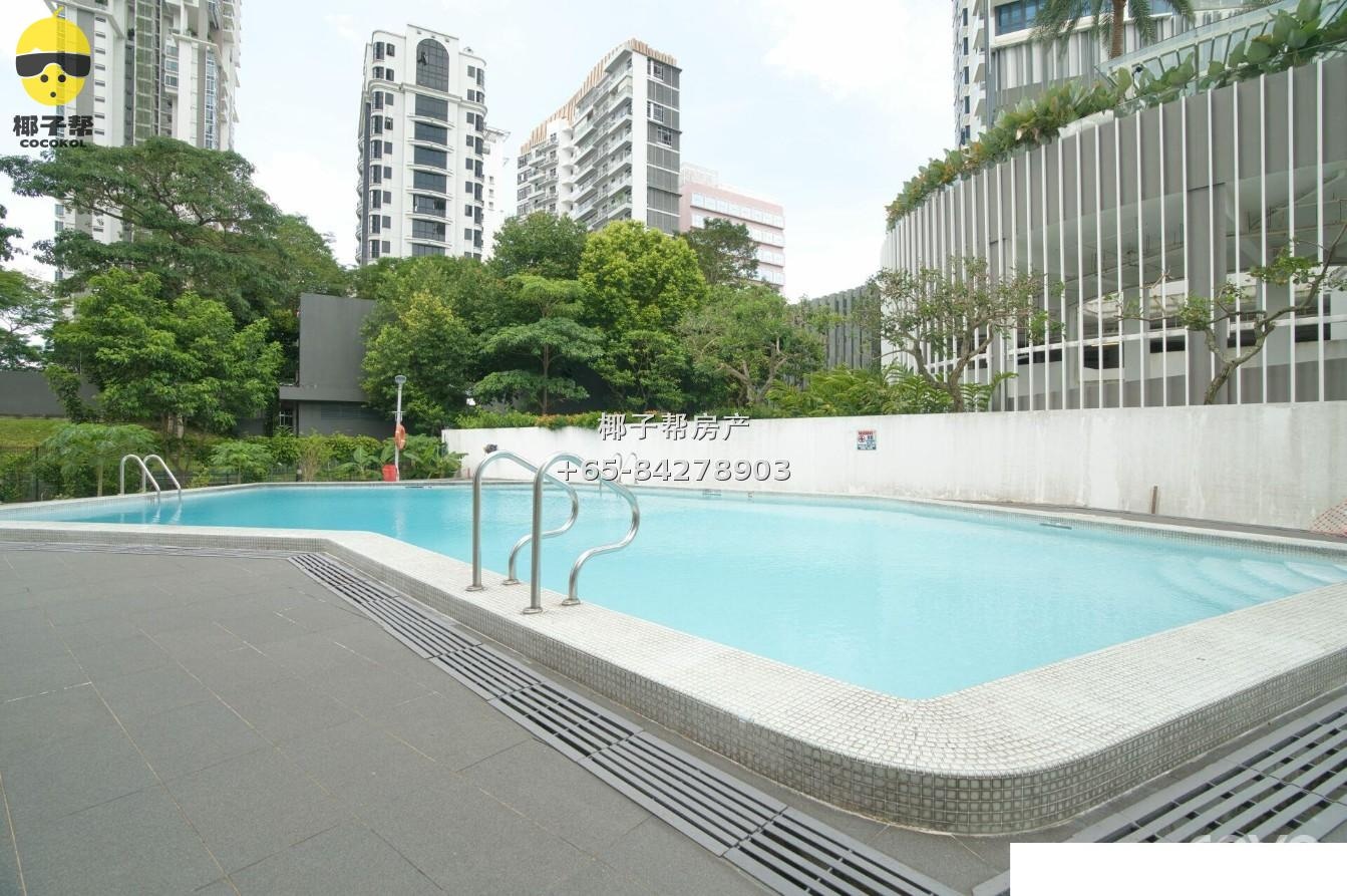 【出租】Tan Tong Meng Tower标准房 近诺维娜地铁站 泳池公寓 13