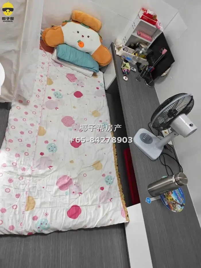 【出租】女皇镇地铁旁组屋小房 包水电限女生拎包入住 5