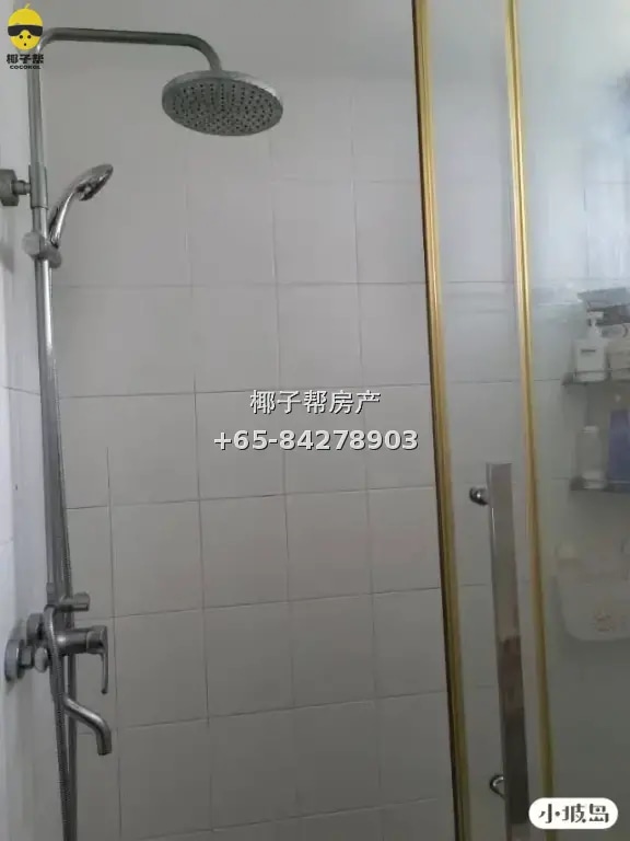 【出租】女皇镇地铁旁组屋小房 包水电限女生拎包入住 3