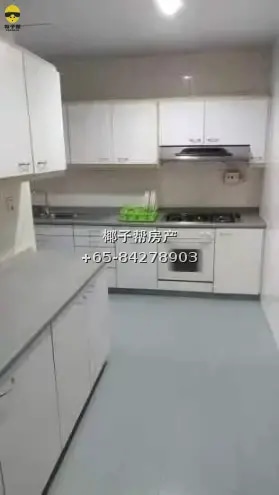 【出租】马里士他Balestier Point大普通房 近诺维娜地铁站 5