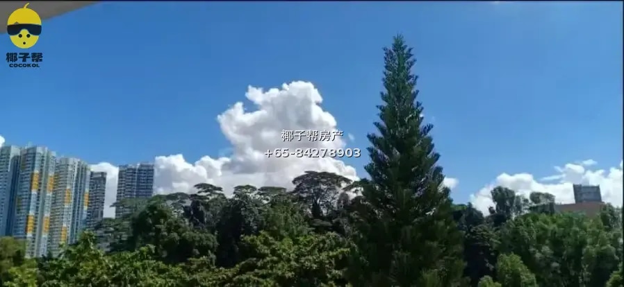 【出租】欧南园旁大普通房合租 近CBD无中介费 拎包入住 2